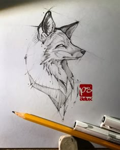 a pencil drawing of a fox on paper