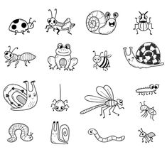 black and white drawing of different types of bugs, snails, and other insect species