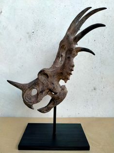 an animal skull with long horns on a black stand