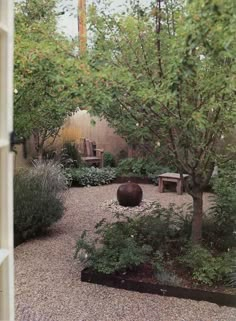 an outdoor garden with gravel and trees