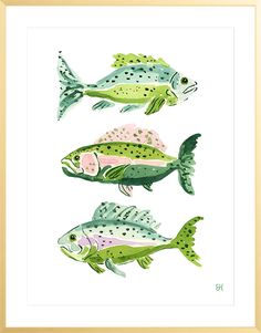 three different types of fish in watercolor