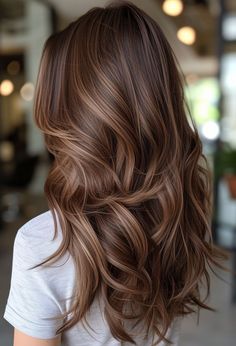 Frost-Touched: 15 Winter Hair Colors to Try Now Chestnut Hair With Lowlights, Brown Hair With Highlights Red Tones, Long Reddish Brown Hair With Highlights, Lived In Summer Brunette, Highlight Rambut Brown, Choc Brown Hair With Highlights, Natural Hair Colors For Brunettes, Long Hair Brown Balayage, Autum Hair Color Ideas Brown