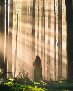 a woman standing in the middle of a forest with sunbeams shining down on her