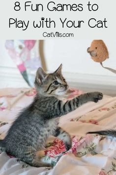 a kitten playing with a toy mouse on top of a bed and text that reads 8 fun games to play with your cat