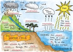 the water cycle is shown in this hand - drawn diagram, which shows what it's like to live on earth