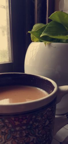 a cup of coffee sitting next to a potted plant