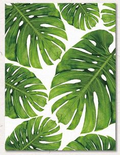 a green leaf pattern on white paper with the words,'tropical palm leaves '