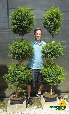 a man is standing in front of some potted trees and smiling at the camera