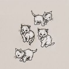 four kittens are running and jumping around in the air with their tails spread out