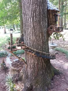 a tree house built into the side of a tree