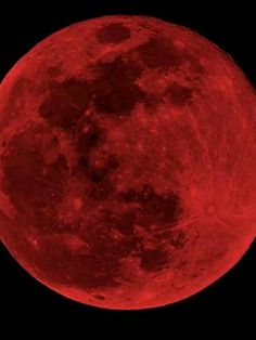 the full red moon is seen in the dark sky