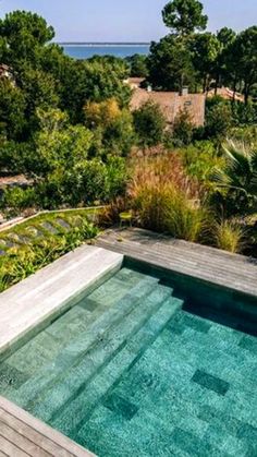 an outdoor swimming pool surrounded by greenery and trees with the ocean in the background