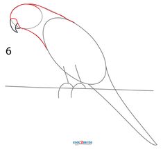 how to draw a parrot sitting on a branch