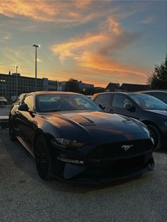 Ford mustang during sunset. Beautifull pink and orrange sky reflecting on the hood. Mustang Gt500 Aesthetic, Black Mustang Aesthetic, Mustang Cars Aesthetic, All Black Mustang, Blacked Out Mustang, Ford Mustang Aesthetic, 2020 Mustang Gt, Siyah Mustang, Mustang Aesthetic