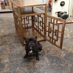 a dog sitting in front of a wooden table with an open door on it's side