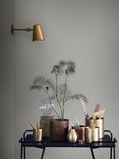 a table topped with pots and plants on top of a metal shelf next to a white wall