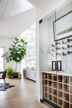 a living room filled with furniture and a tall plant next to a glass wall covered in wine bottles