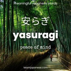 the words yasurgi peace of mind are written in japanese characters on bamboo trees