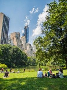 people are sitting on the grass in a park with skyscrapers in the back ground