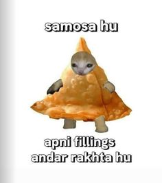 an animal that is sitting on top of a piece of bread with the words samosa hu