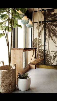 a potted plant sitting on top of a white floor next to a wooden bench