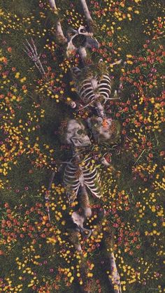 an aerial view of two skeletons in a field of flowers