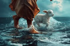 a person walking in the water with a sheep