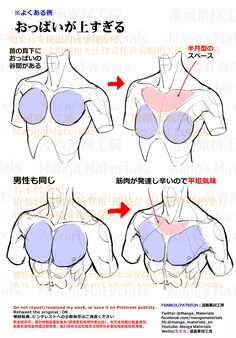 how to draw the chest and upper half of a woman's body in chinese