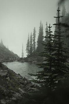 a black and white photo of a mountain lake with pine trees on the side in foggy weather