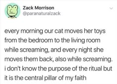 a tweet that reads, every morning our cat moves her toys from the bedroom to the living room while screaming and every night she moves them back, also