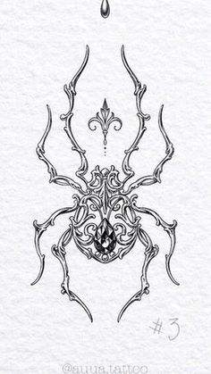 a drawing of a spider with intricate designs on it's back and arms, in black ink