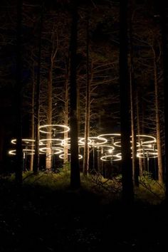 light painting in the woods at night with trees lit up by lights from different directions