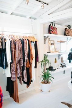 a closet filled with lots of clothes next to a potted plant and hanging shelves