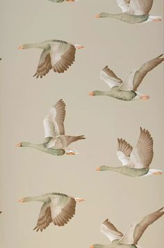 a flock of birds flying through the air on top of a beige wallpaper background