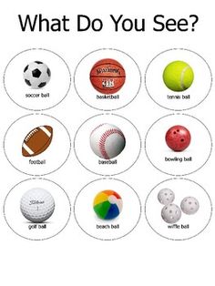 an image of what do you see? with different sports balls in the circle around them