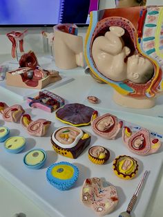 an assortment of medical items displayed on a table