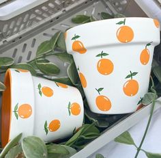 two oranges painted on white cups sitting in a box next to green leaves and plants