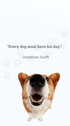 a dog with its mouth open and the words, every dog must have his day