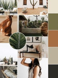 a collage of photos with plants, couches and other things in the background