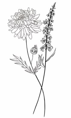 a black and white drawing of some flowers