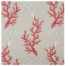 red and white corals on a beige background