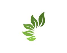 a green leaf logo on a white background