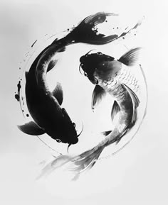 two black and white koi fish in a circle