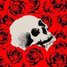 a black and white skull surrounded by red roses