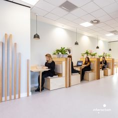 two women sitting at desks in an office with plants on the wall and floor