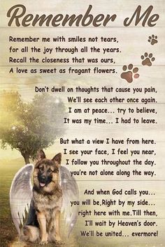 a german shepherd dog poem with an angel