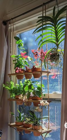 a window sill filled with potted plants and hanging planters in front of a window