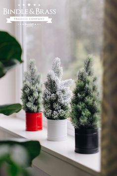 three potted plants sitting on top of a window sill