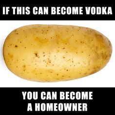 a potato with the caption if this can become vodka you can become a homeowner