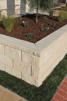 a brick planter box with grass growing in it and a palm tree on the other side